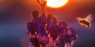 Dziś w południe księżyc przesłoni słońce﻿!