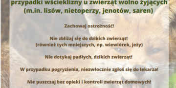 Radomskie: Ostrzeżenie przed wścieklizną!