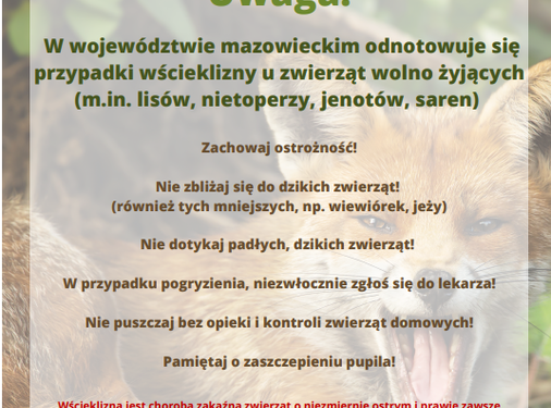 Radomskie: Ostrzeżenie przed wścieklizną!