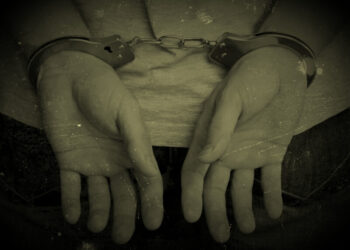 fot. www.strazmiejska.radom.pl