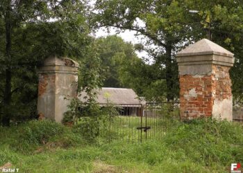 Powiat zwoleński: 830 lat Sycyny