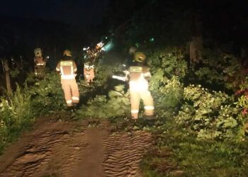 Radom / Region radomski: Zniszczenia po nawałnicach