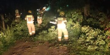 Radom / Region radomski: Zniszczenia po nawałnicach