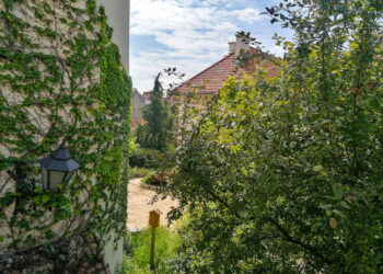 Radom: Miniogród na dziedzińcu Muzeum Malczewskiego