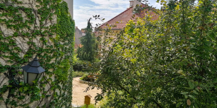 Radom: Miniogród na dziedzińcu Muzeum Malczewskiego