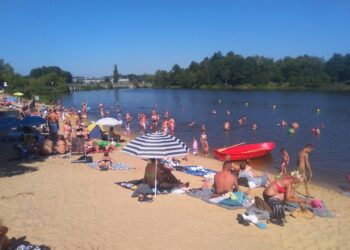 Powiat radomski: Nowości znad Stawu Górnego.