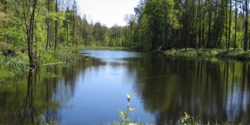 Region Radomski: Magiczne Śródborze
