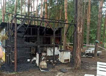 Powiat radomski: Zrzutka na odbudowę po pożarze