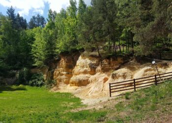 Powiat przysuski: „Rawicz” zaprasza na spacer!