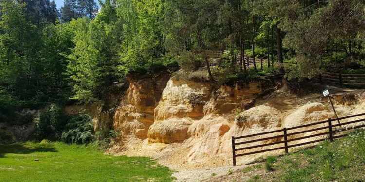 Powiat przysuski: „Rawicz” zaprasza na spacer!