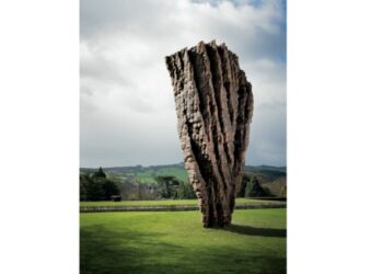 Powiat szydłowiecki: Wymiary plastyki