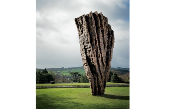 Powiat szydłowiecki: Wymiary plastyki