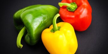 Powiat przysuski: Tradycyjne święto papryki