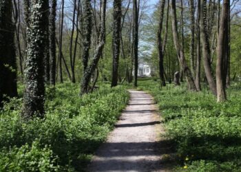 Powiat szydłowiecki: Dofinansowanie zabytków