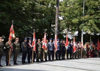 Radom / Region Radomski: Obchody Święta Wojska Polskiego