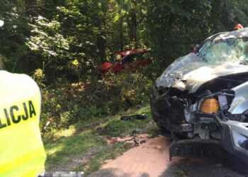 Powiat lipski: Areszt dla pijanego sprawcy tragicznego wypadku w Woli Soleckiej