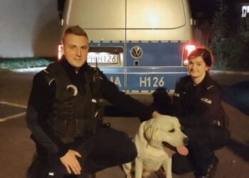 Powiat grójecki: Cookie wrócił do domu dzięki pomocy policjantów