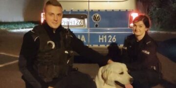 Powiat grójecki: Cookie wrócił do domu dzięki pomocy policjantów