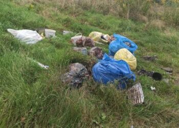 Powiat grójecki: Zaśmiecił polanę – został znaleziony i ukarany