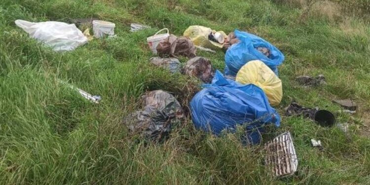 Powiat grójecki: Zaśmiecił polanę – został znaleziony i ukarany