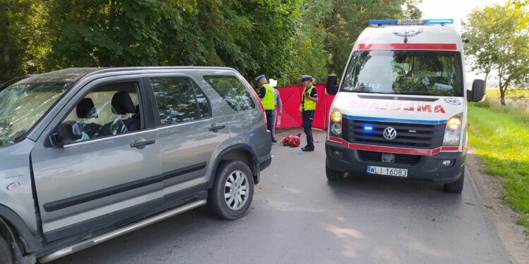 Powiat lipski: Tragedia na drodze. Kobieta osierociła czworo dzieci