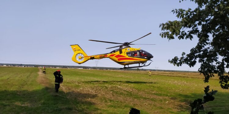 Powiat lipski: Tragedia na drodze. Kobieta osierociła czworo dzieci