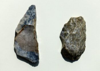 Powiat radomski: Atrybuty neandertalczyków