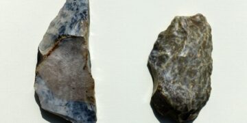 Powiat radomski: Atrybuty neandertalczyków