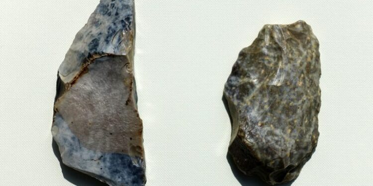 Powiat radomski: Atrybuty neandertalczyków