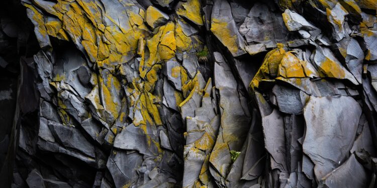 Iłża: Morze sprzed 155 milionów lat 