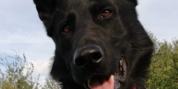 Radom: Nador odnalazł zaginionego