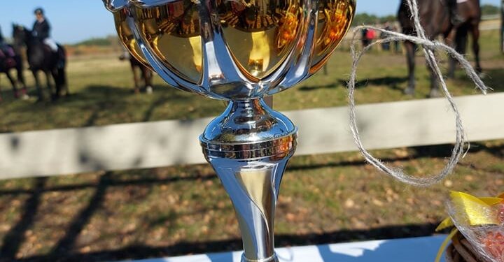 Powiat radomski: Dwa oblicza Hubertusa