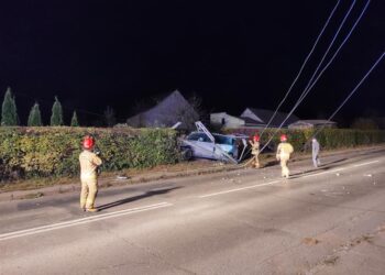 Powiat radomski: Ściął słupy energetyczne i uciekł [GALERIA]