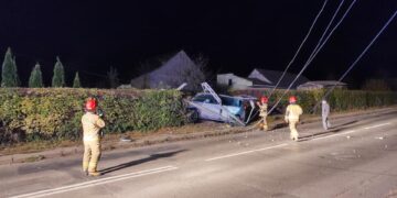 Powiat radomski: Ściął słupy energetyczne i uciekł [GALERIA]