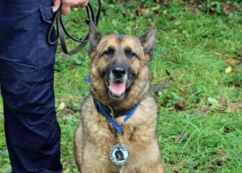 Radom: Galo idzie na zasłużoną emeryturę