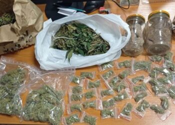 Powiat grójecki: Hodowla konopi i ciasteczka z marihuaną na strychu