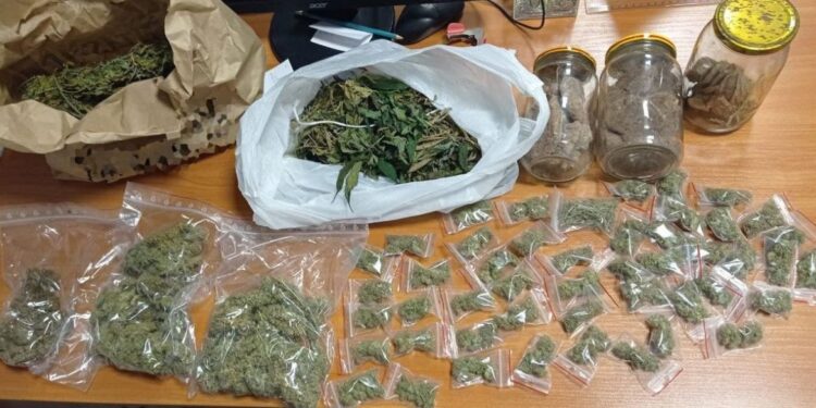 Powiat grójecki: Hodowla konopi i ciasteczka z marihuaną na strychu