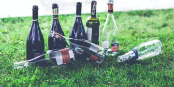 Radom: Trzy pijane nastolatki w parku