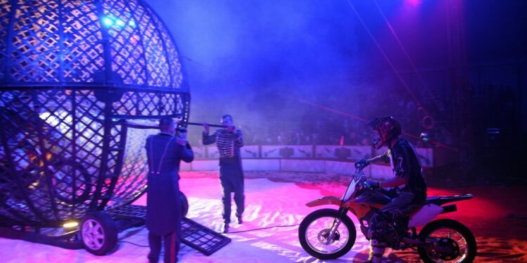 Radom: Cyrk zawita do miasta!