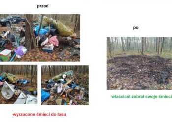 Do lasu, zamiast na wysypisko