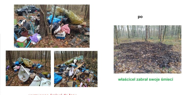 Do lasu, zamiast na wysypisko