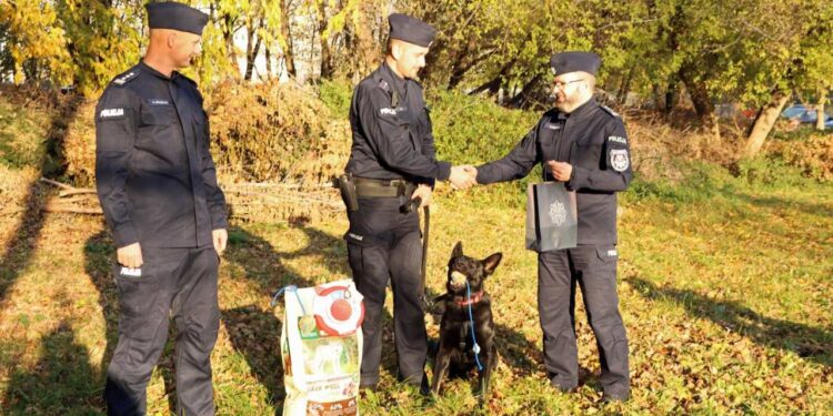 Radom: Nador na medal!