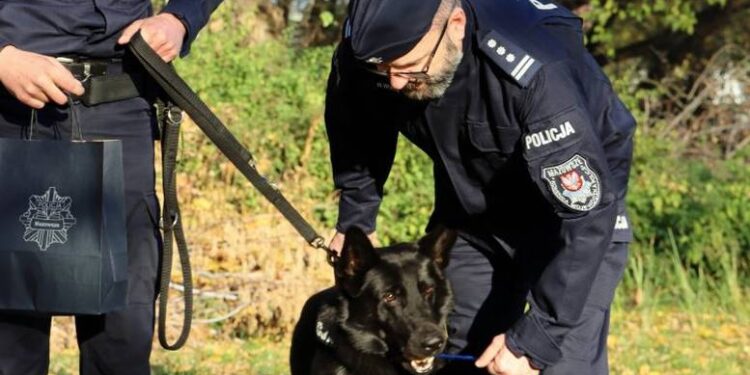 Radom: Nador na medal!