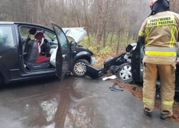 Powiat lipski: Zderzenie czołowe [ZDJĘCIA]