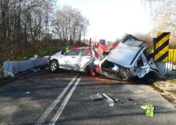 Powiat przysuski: Kobieta i dwóch mężczyzn zginęli w Radestowie