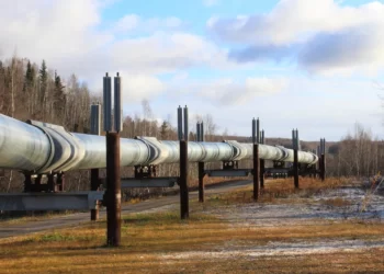 Powiat kozienicki: Gaz przez las