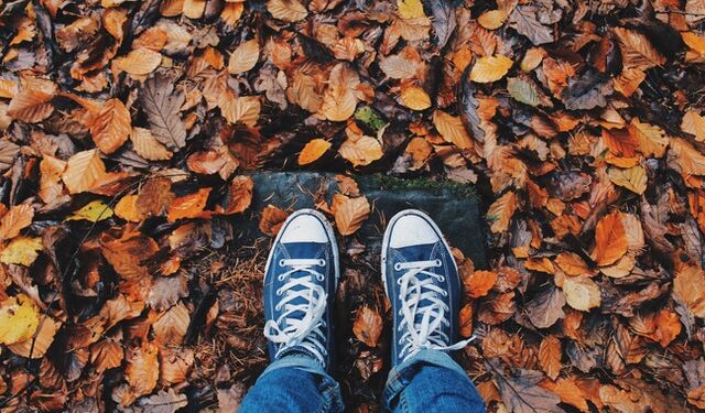 Radom: Próba samobójcza nastolatki w Parku Kościuszki?