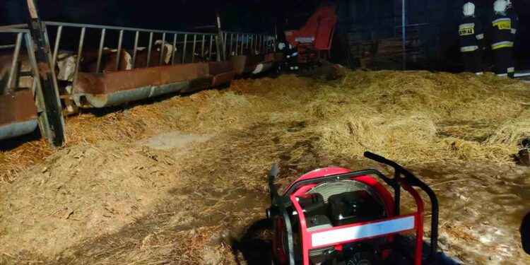 Nie pozwolił na rozwój pożaru – uratował swój dobytek i zwierzęta