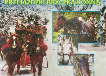 Radomskie: Saniami i bryczką do Źródeł