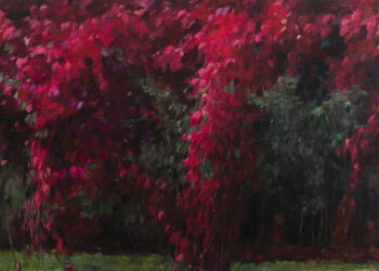 Radom: Krajobrazy okienne